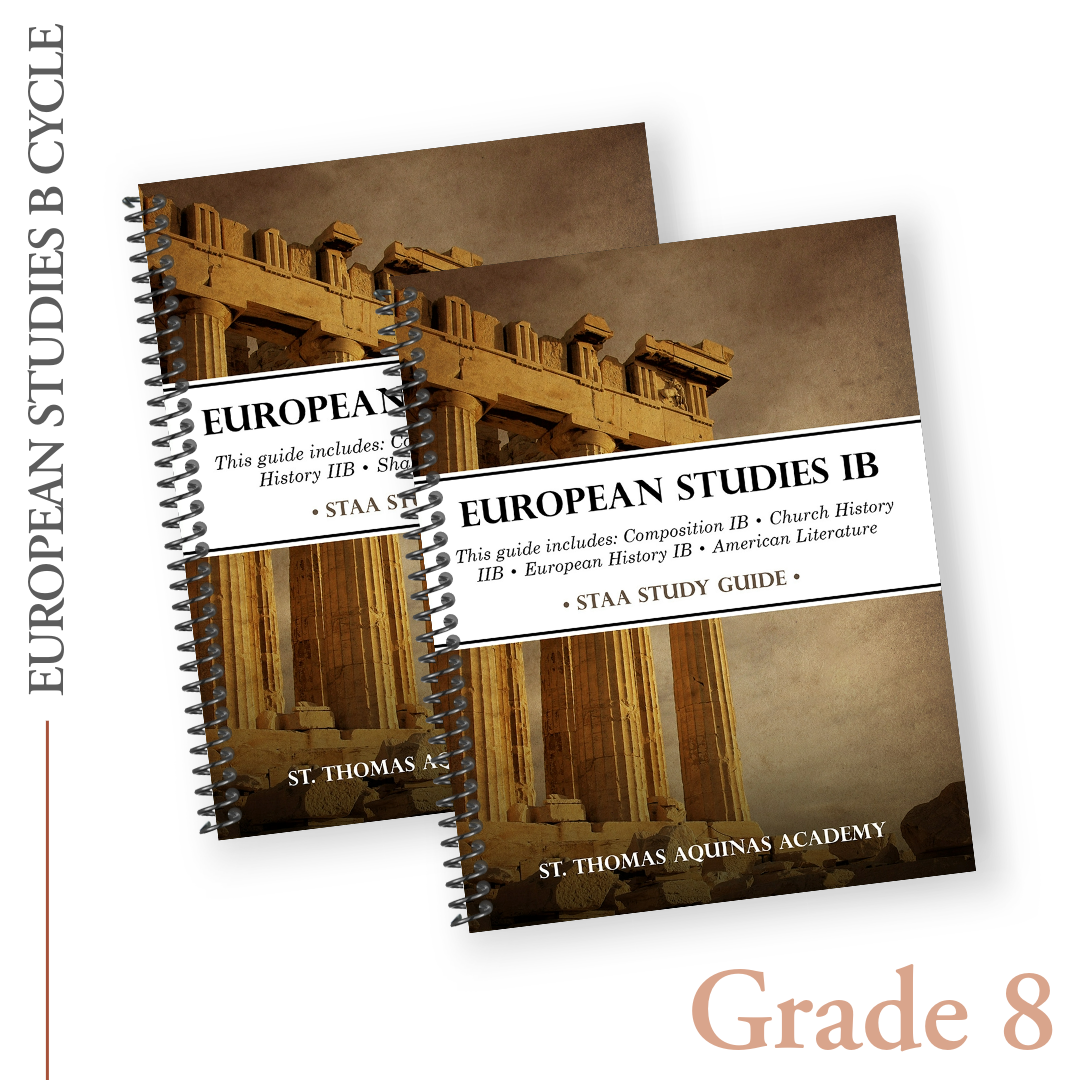 European Studies, B Track